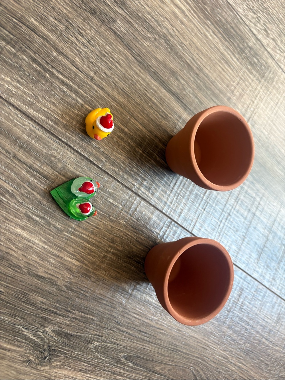Kids Holiday Duck, Duck magnet and 2 tiny pots